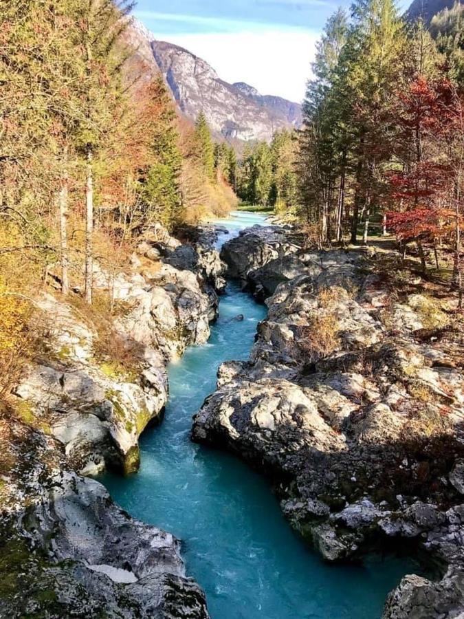 Apartma Center Apartment Bovec